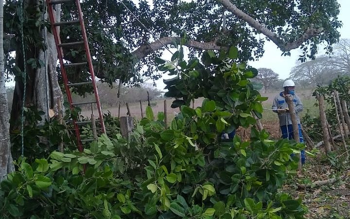 Santa Rosa y Villanueva sin servicio de energía este martes 9 de junio.