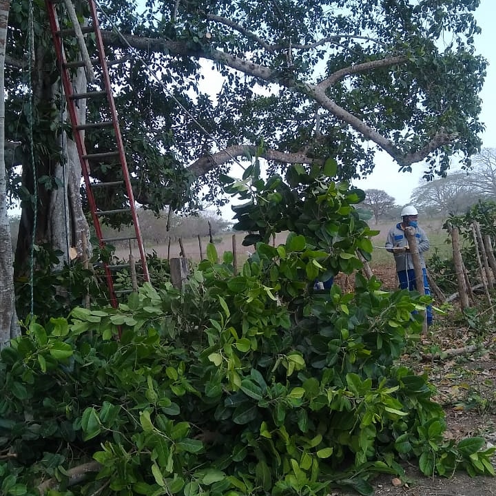Santa Rosa y Villanueva sin servicio de energía este martes 9 de junio.