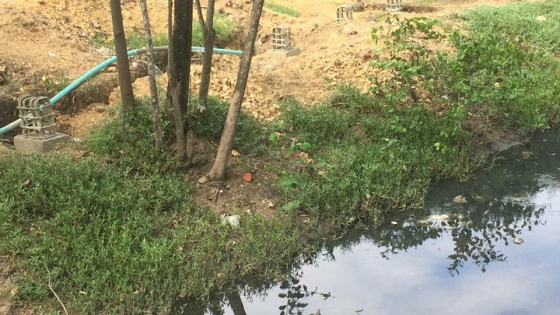 Cerramiento del Caño de Bazurto y una zona del Parque Espíritu del Manglar reinicia Cardique.