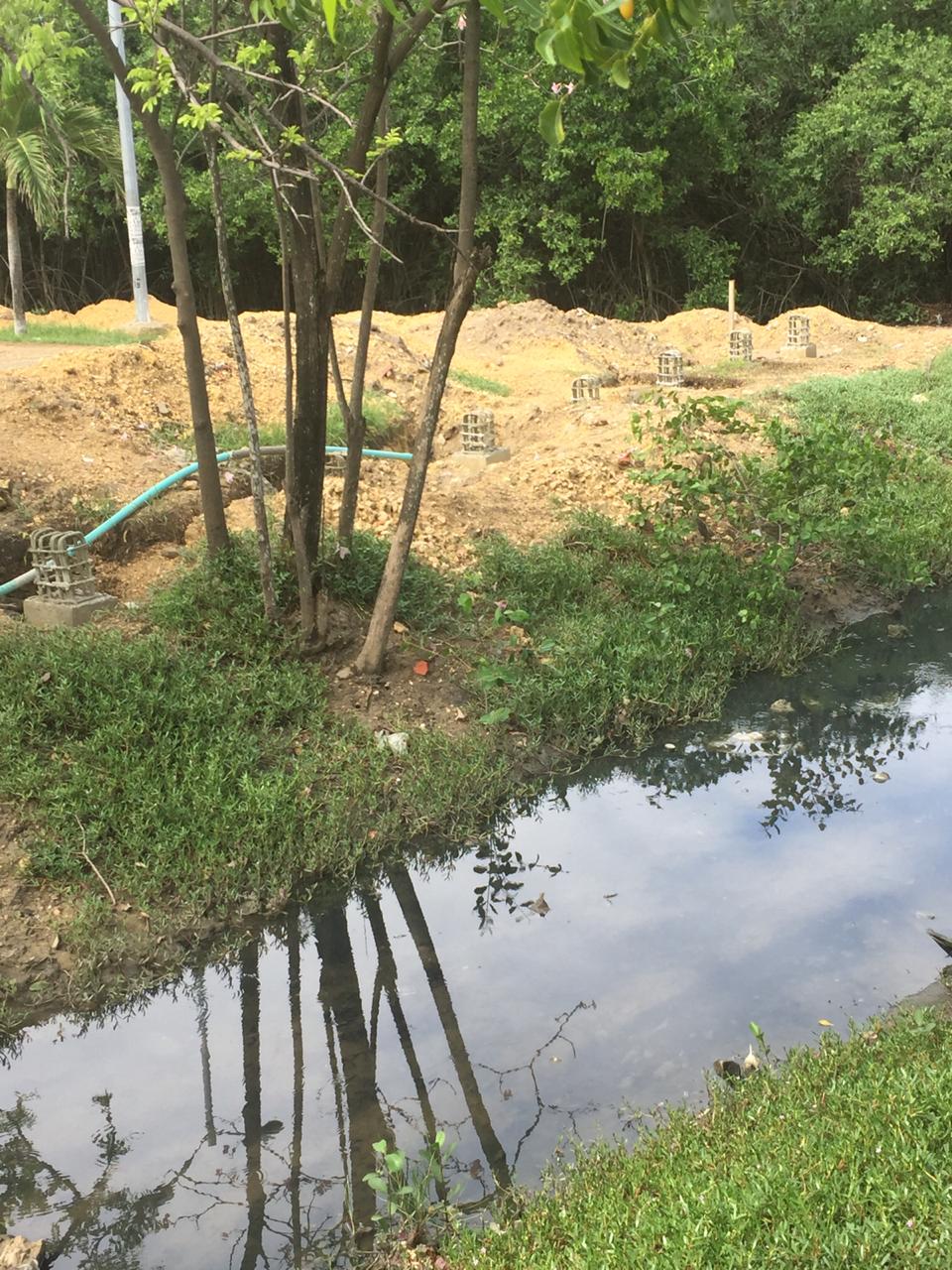 Cerramiento del Caño de Bazurto y una zona del Parque Espíritu del Manglar reinicia Cardique.