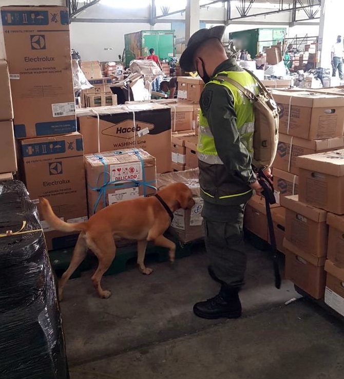 Más de 100 kilos de estupefacientes decomisó la dirección anti narcóticos en la Heroica,la droga llegó a Cartagena por servicios de mensajería desde Bogotá y Cali.