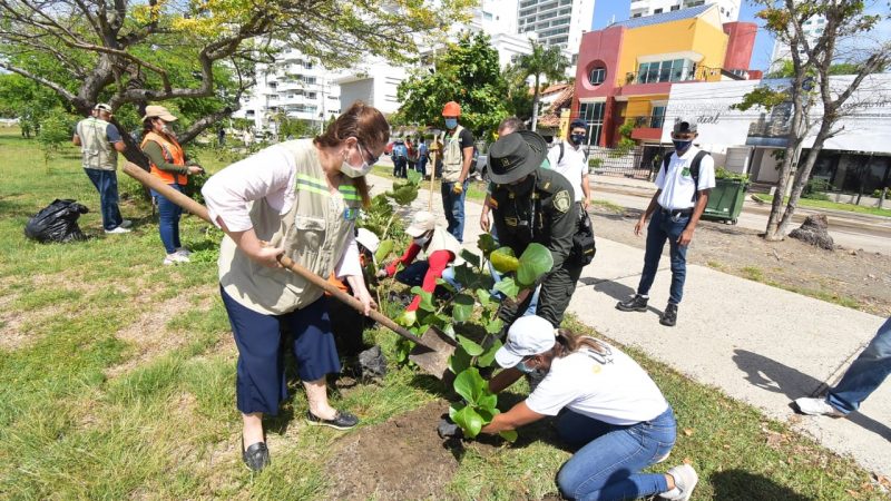 300 nuevos árboles se siembran en Cartagena,en desarrollo de la campaña «Distrito verde»