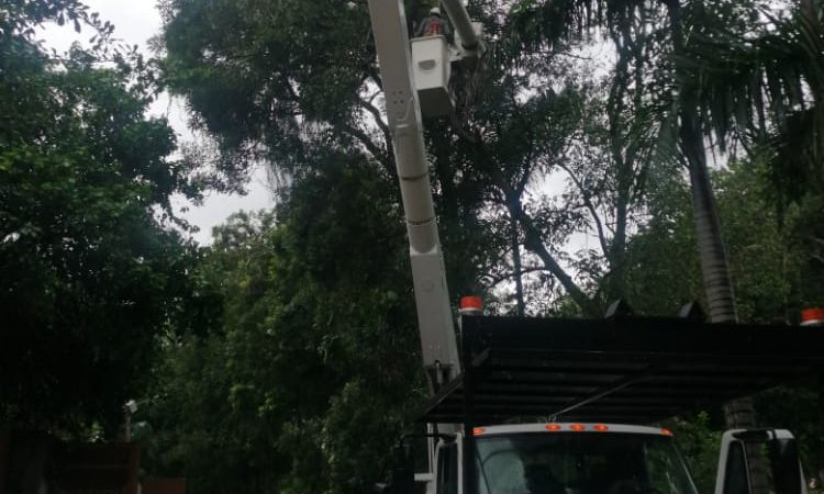 Hoy 16 de noviembre Afinia realiza mantenimiento en la zona industrial de manomal,algunos circuito quedarán por fuera mientras se realiza la inspección.