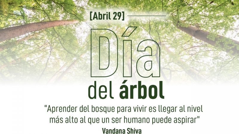 Día del Árbol» Acuacar lo recuerda, sembrar un árbol salva vidas.