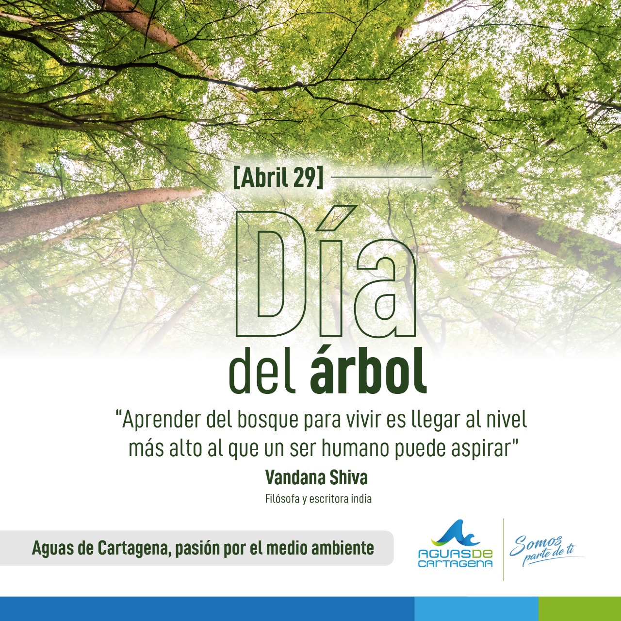 Día del Árbol» Acuacar lo recuerda, sembrar un árbol salva vidas.