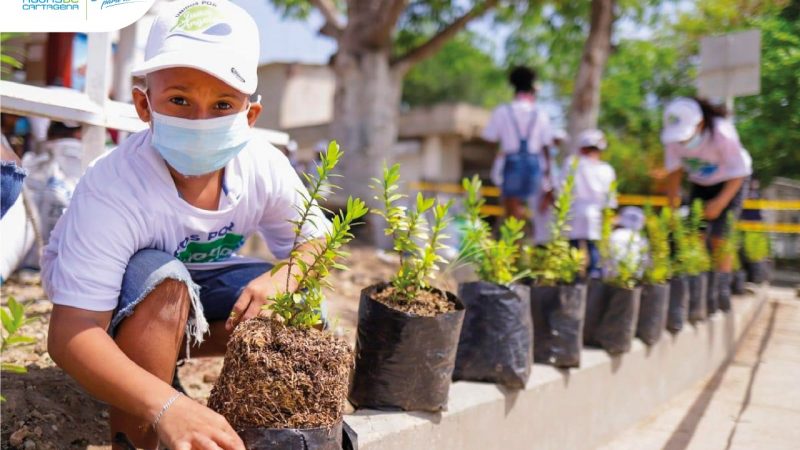 Aguas de Cartagena reconoce la importancia de sembrar árboles y fomenta está práctica en la Ciudad.