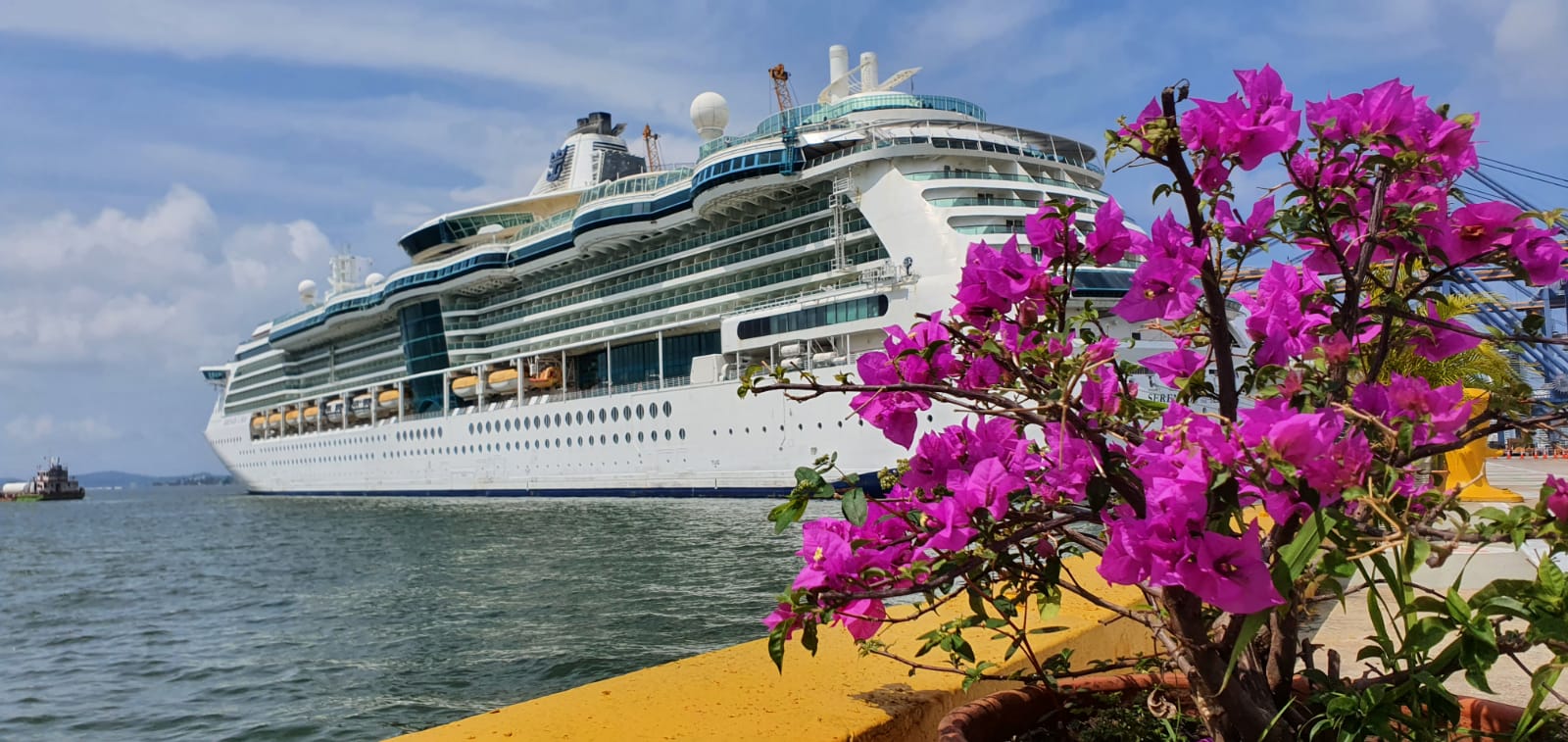 Crucero Serenade of the seas engalana el puerto de Cartagena y contribuye a la reactivación económica de la ciudad.