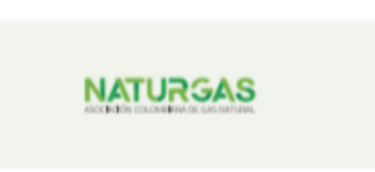 La Asociación Colombiana de Gas Natural -Naturgas- anunció la suscripción de una alianza que consolidará y fortalecerá las buenas prácticas de sus afiliados para aportar a los compromisos del país frente a la carbono neutralidad.