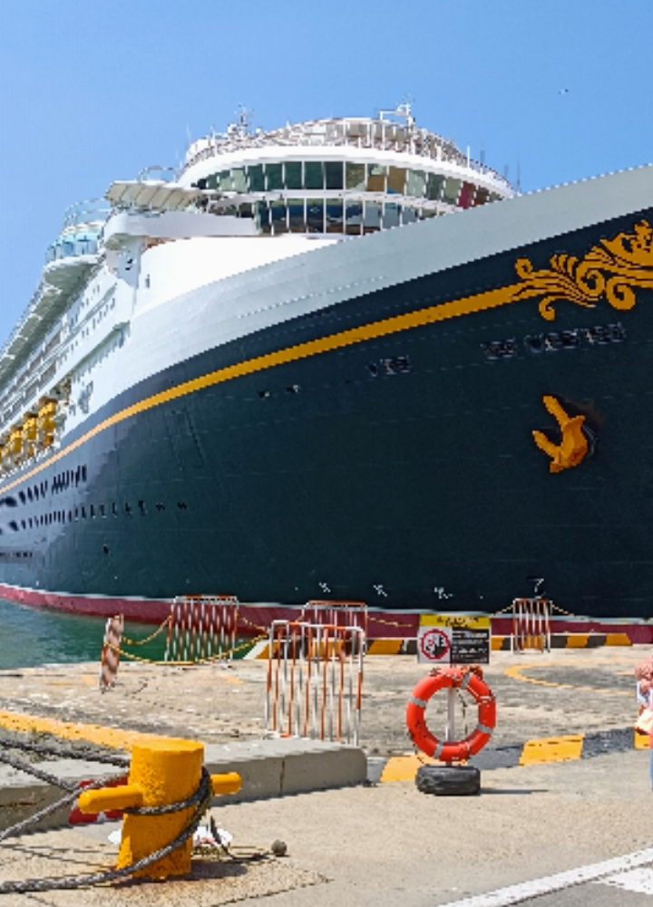 Disney wonder y Ruby Princess dos cruceros estratégia de Procolombia,para promocionar a Colombia en mercados internacionales.