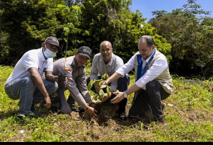 Para la preservación del medioambiente y la reforestación en Bolívar, la empresa Afinia entrega mega vivero a Cardique.