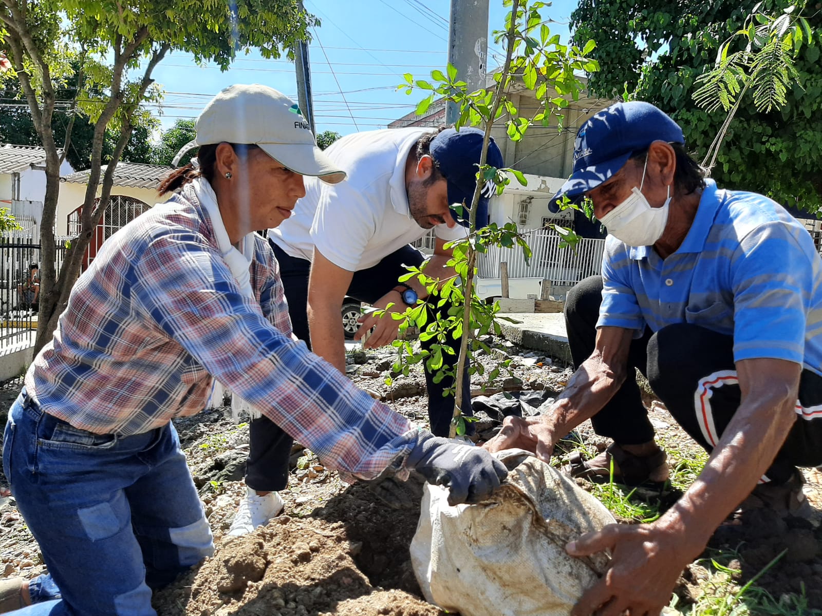 El Distrito a través del Establecimiento público ambiental EPA ha logrado sembrar 23.035 nuevos árboles.