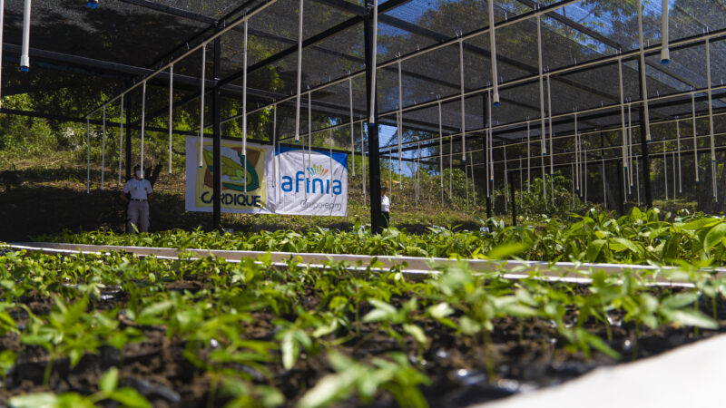 Afinia vs innovación, en su visión de responsabilidad social y ambiental