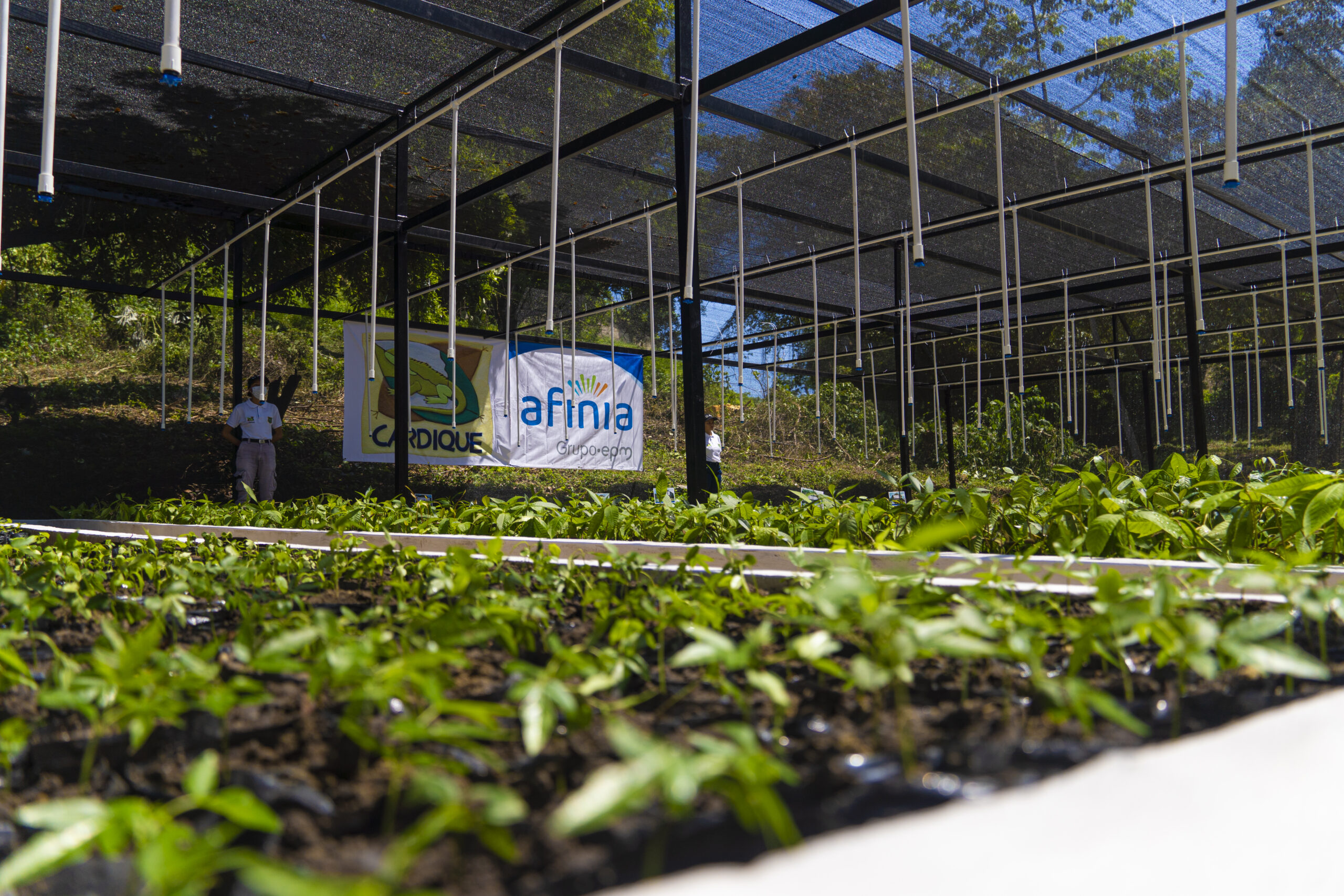 Afinia vs innovación, en su visión de responsabilidad social y ambiental