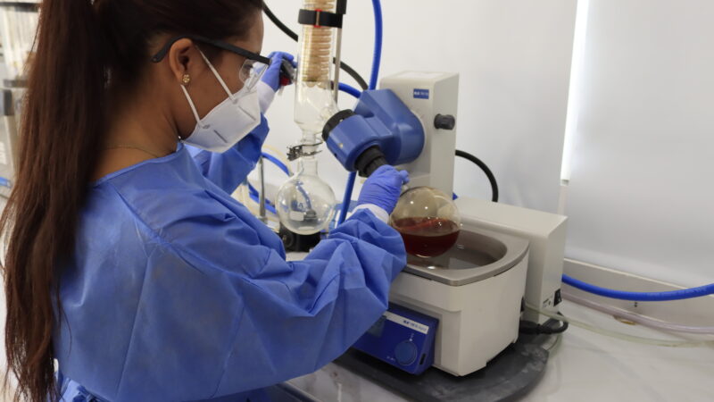 Universidad de Cartagena celebra su doctorado N° 10 en Ambiente y Desarrollo Sostenible.