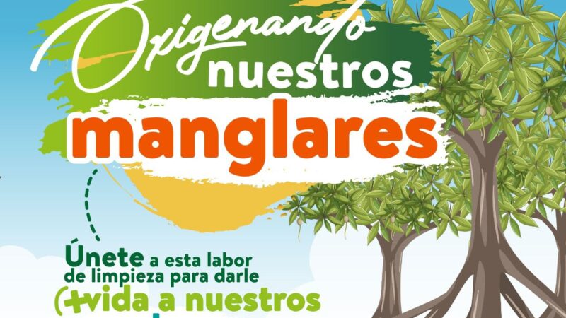 Protegiendo el Tesoro Ecológico de Cartagena: Cámara de Comercio lidera Jornada de Limpieza de Manglares.