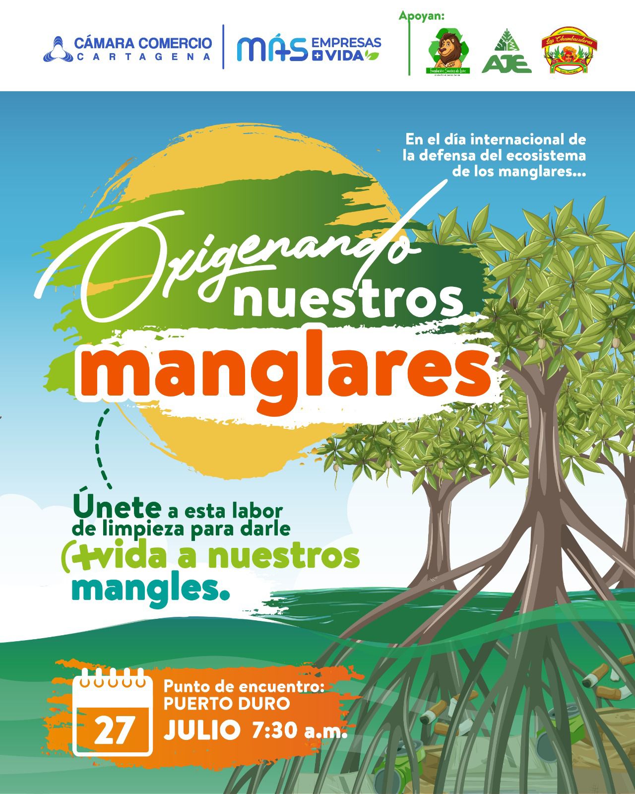 Protegiendo el Tesoro Ecológico de Cartagena: Cámara de Comercio lidera Jornada de Limpieza de Manglares.