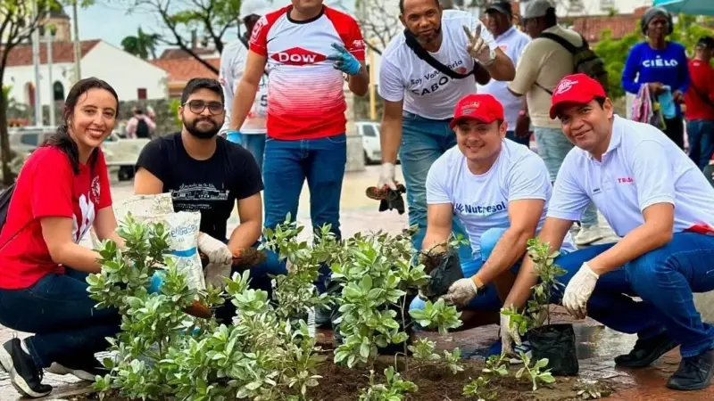 Para embellecer a Cartagena y preservar el ambiente Andi-Traso lidera voluntariado ambiental empresarial en el Centro Histórico.