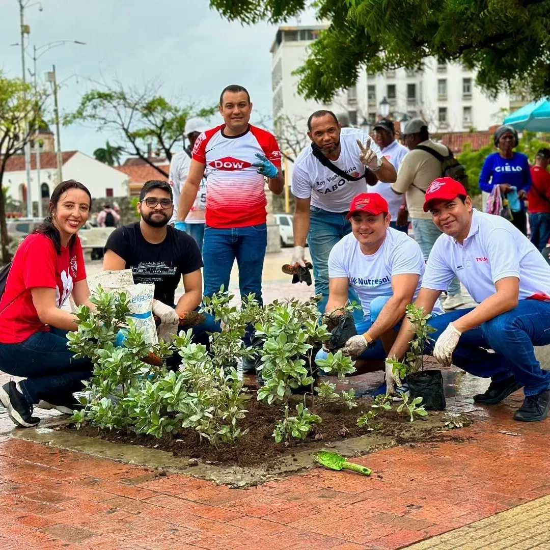 Para embellecer a Cartagena y preservar el ambiente Andi-Traso lidera voluntariado ambiental empresarial en el Centro Histórico.