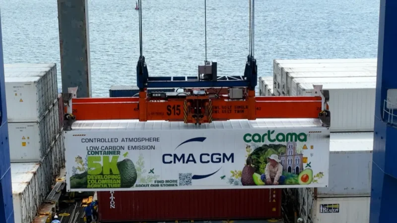 Exportador Colombiano de aguacate Hass, cumple la meta, saca su contenedor 5000 por el Puerto de Cartagena.