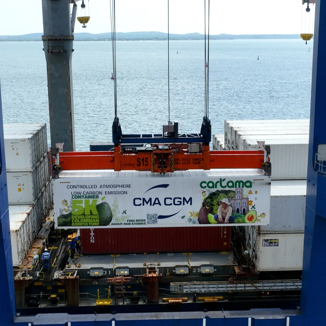 Exportador Colombiano de aguacate Hass, cumple la meta, saca su contenedor 5000 por el Puerto de Cartagena.