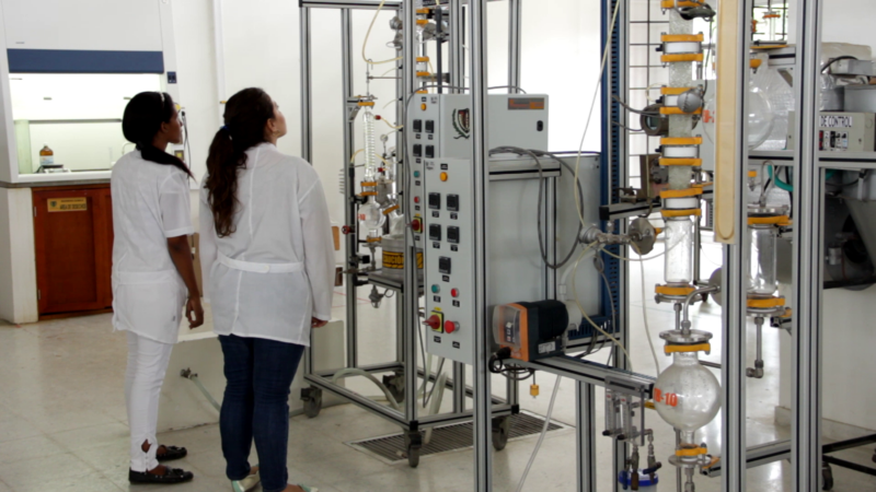 Del 3 al 5 de octubre la Universidad de Cartagena realizará la “Convención Científica ODS, Cambio Climático”.