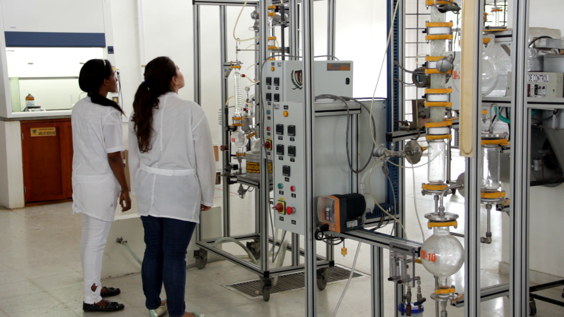 Del 3 al 5 de octubre la Universidad de Cartagena realizará la “Convención Científica ODS, Cambio Climático”.