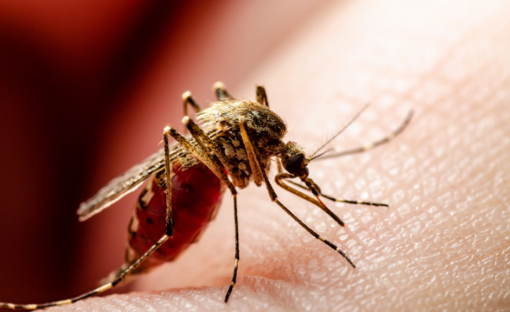 Nueva EPS se une al llamado del Gobierno Nacional en instar a la población a la vacunación contra la Fiebre Amarilla.