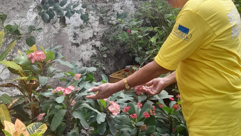 Fundación Puerto de Cartagena: 20 Años tejiendo confianza y transformando vidas