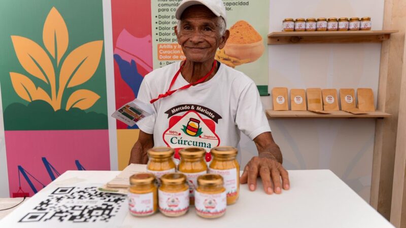 TechnoServe y Cámara de Comercio de Cartagena abren convocatoria para agroempresas de Bolívar